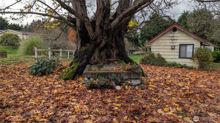 Property Photo: 4904 Blue Lady Lane WA 98260