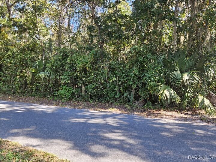 Property Photo:  835 N Gardenview Terrace  FL 34429 