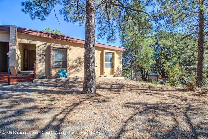 Property Photo:  120 Mountain Sun Trail  NM 88312 