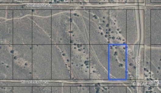 Property Photo:  066020021 Bitterroot  NV 89801 