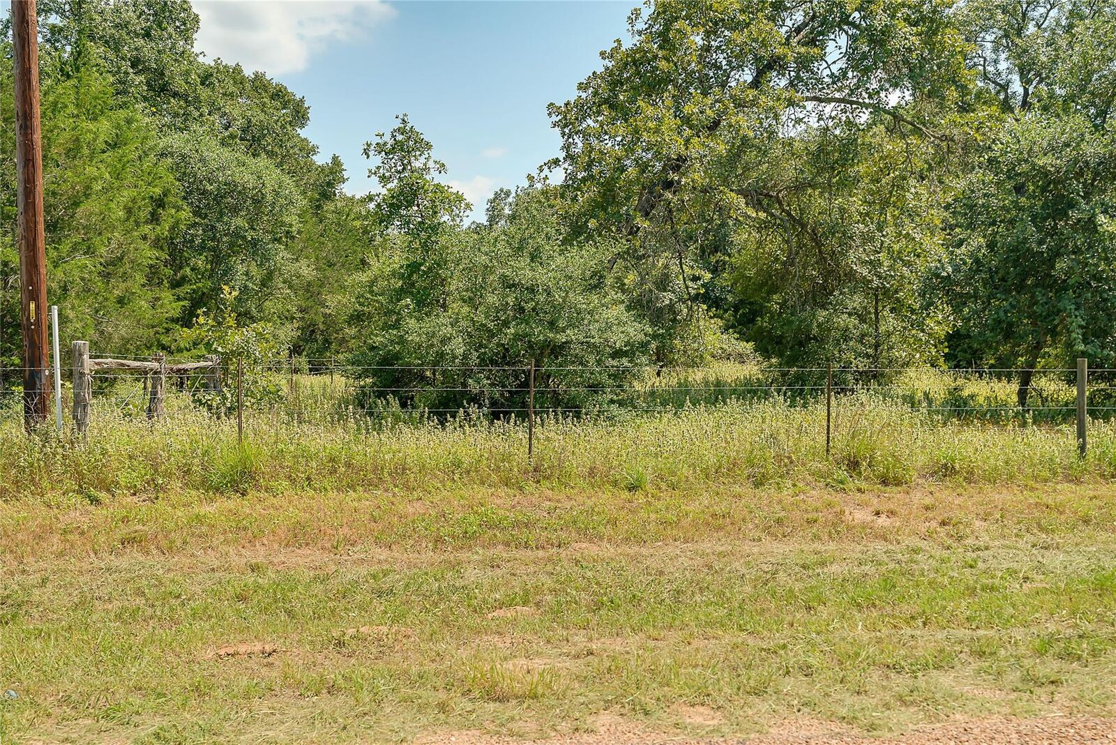 Property Photo: 19231 County Road 215 TX 78962