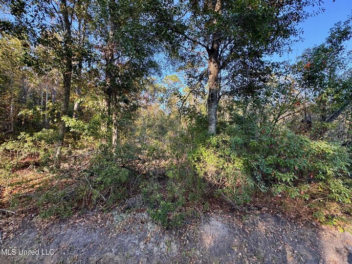 Property Photo: Sycamore Street MS 39520