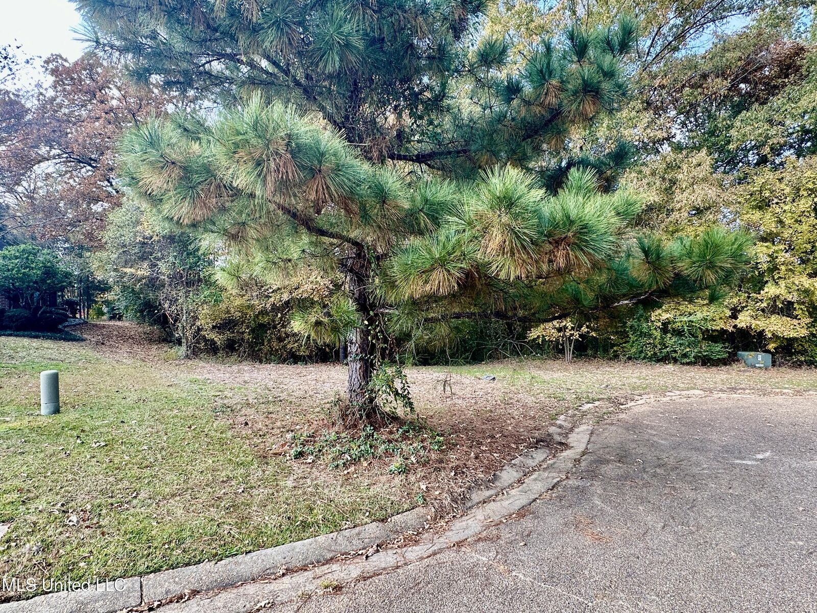 Property Photo:  0 Ashton Place  MS 39056 