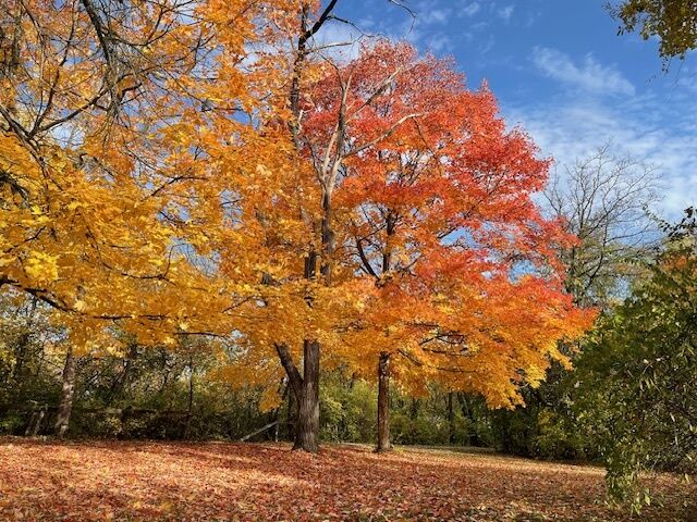 Property Photo:  1047 Plank Road  IL 60563 