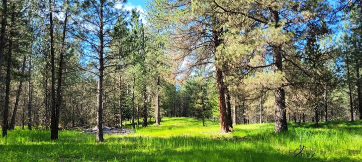Property Photo:  131 Break Road  MT 59923 