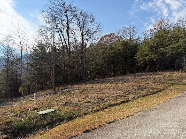 Property Photo: 90 Chestertown Drive 90 NC 28756
