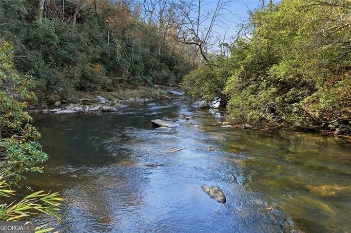 Property Photo:  0 Lower Dowda Mill Road  GA 30143 