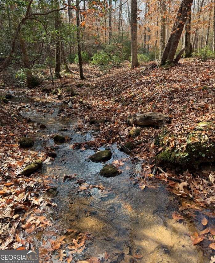 Property Photo:  Lot A Magnums Trail A  GA 30513 