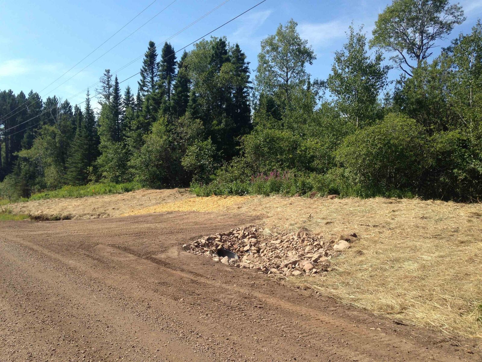 Property Photo: 7xx County Rd 6 MN 55604