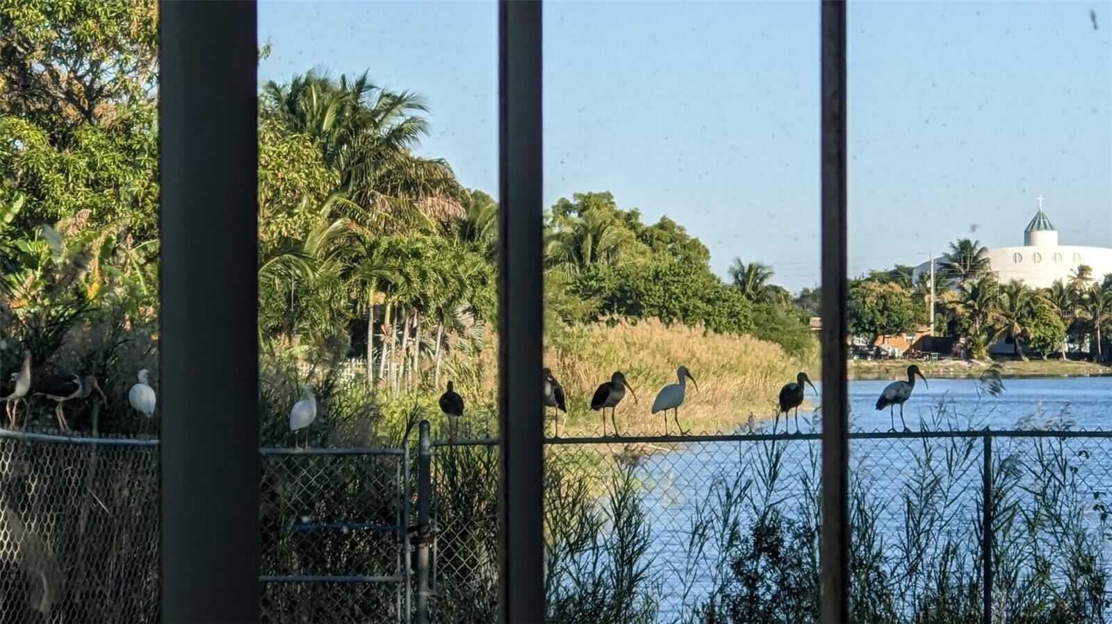 Property Photo:  2321 NW 6th Street  FL 33069 