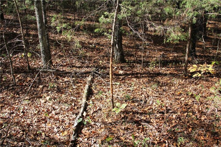 Property Photo:  Cr 935  AR 72616 