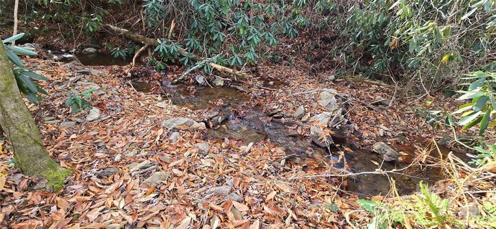 Property Photo: Lot 24 Twinbrook Lane NC 28751