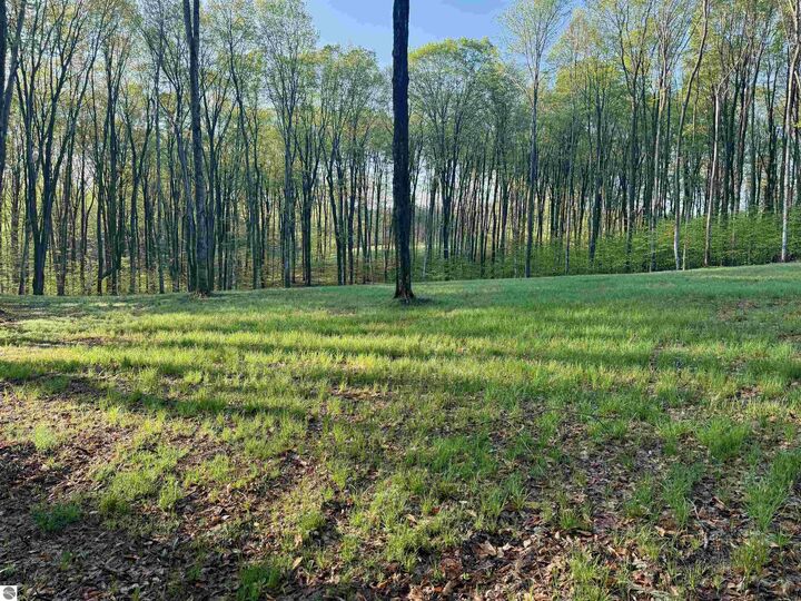 002 S Bright Road  Maple City MI 49664 photo