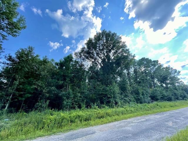 0 Ernie Cole Rd  Ragley LA 70657 photo