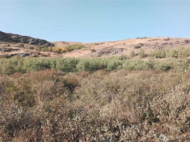 Property Photo:  1  Painted Rock Road  WA 98855 