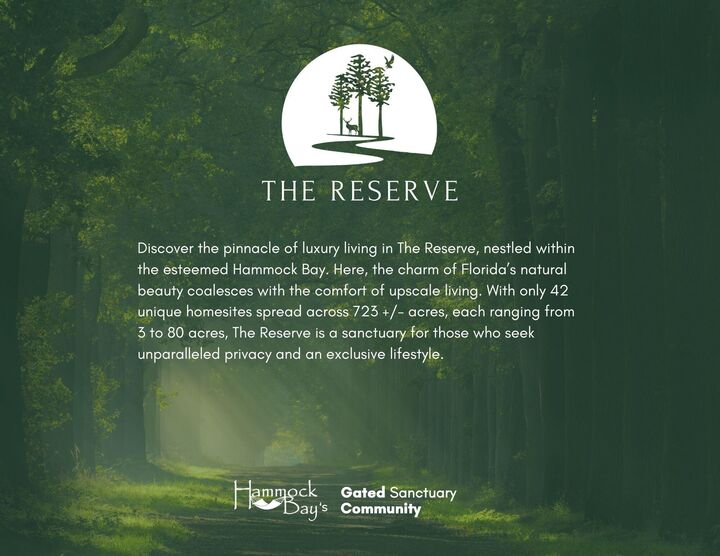 Property Photo:  Lot 6 Reserve At Hammock Bay  FL 32439 
