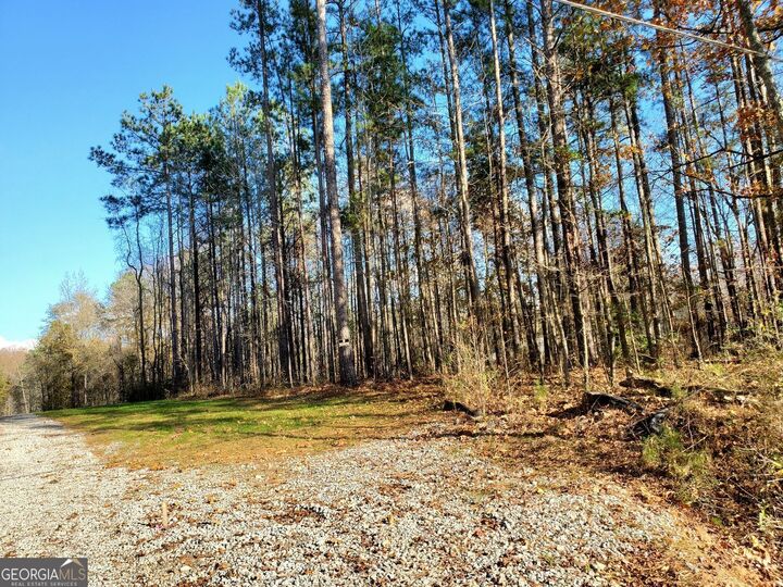Property Photo: 6 State Rte 279 GA 30214