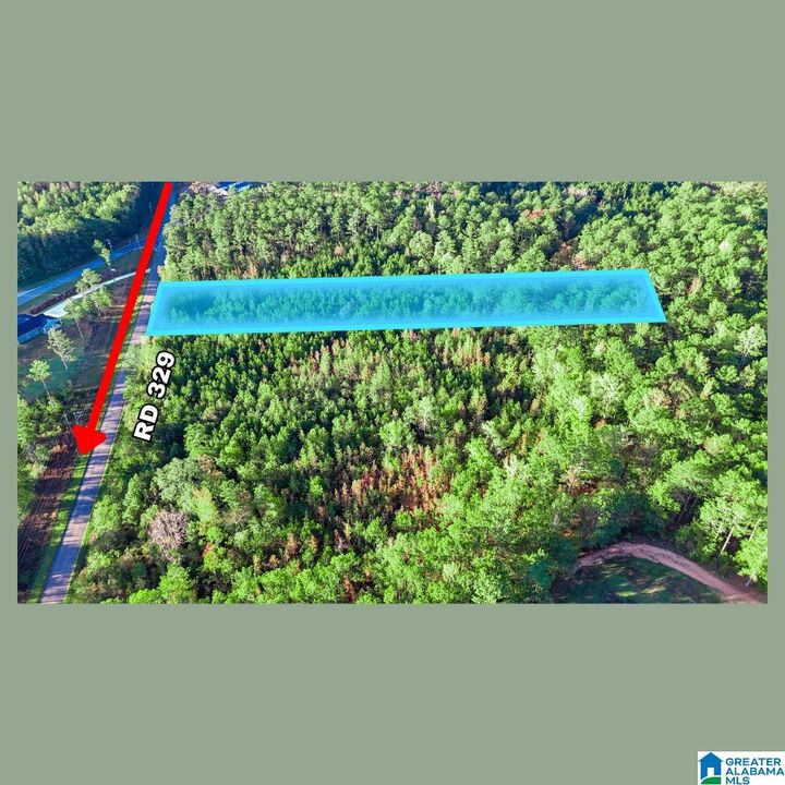 Property Photo:  Tract 3B County Road 329 Tract 3B  AL 36278 