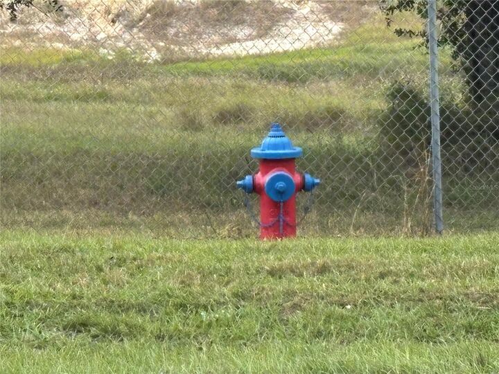 Property Photo:  3427 Golden Gem Road  FL 32712 