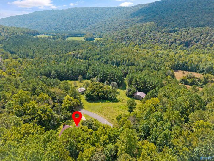 Property Photo:  3818 County Road 4  AL 35751 