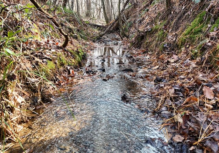 Property Photo: 232 Possum Trot Road GA 30512