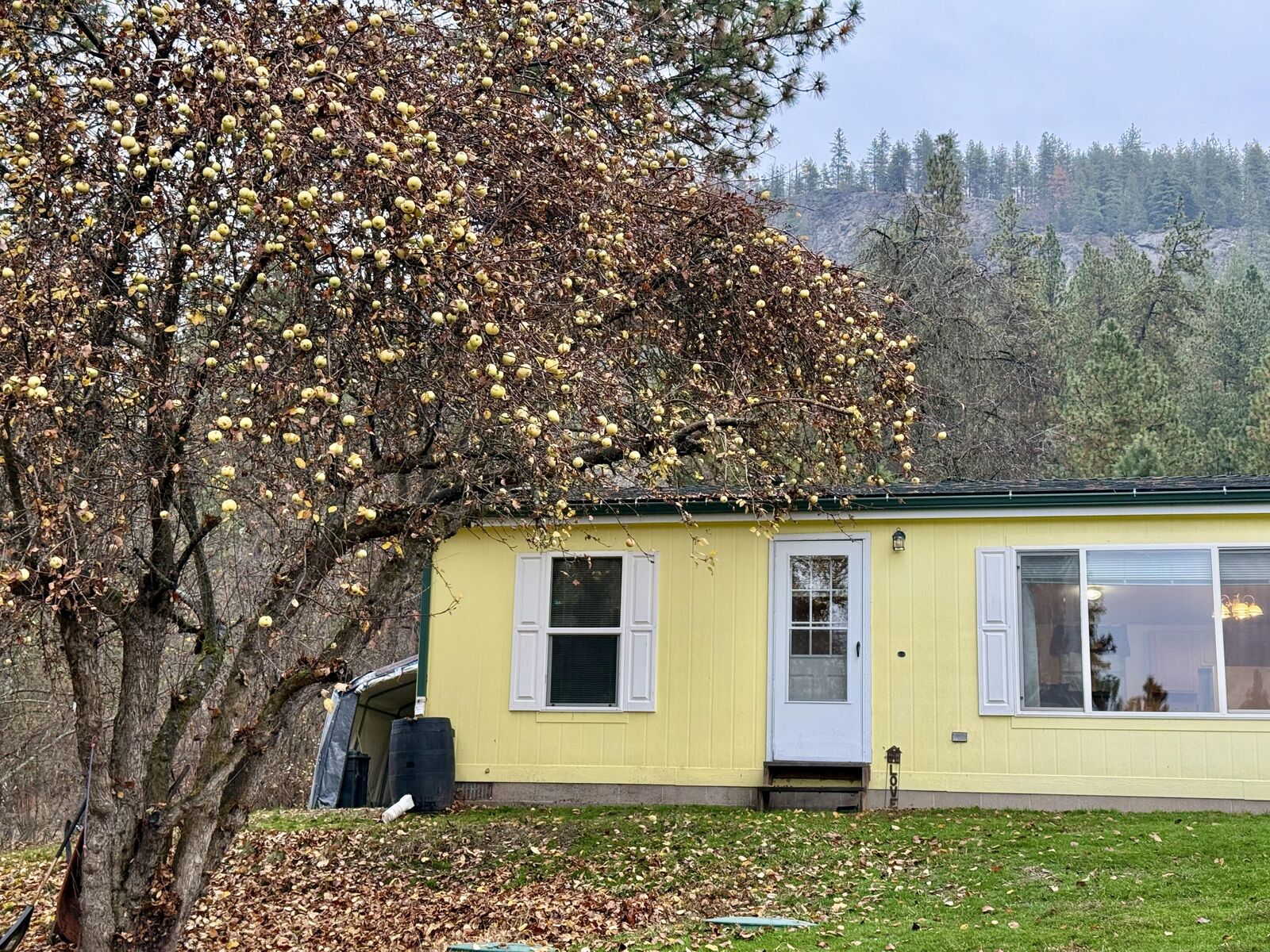 Property Photo:  1888 Orchard Dr N  WA 99126 