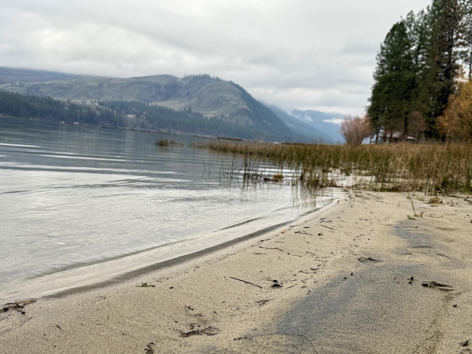 Property Photo:  1888 Orchard Dr N  WA 99126 