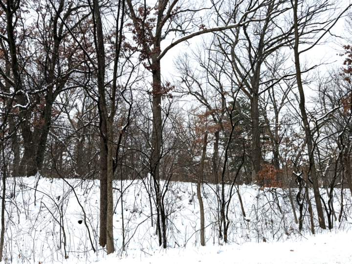 Property Photo: 381 Totem Road MN 55119