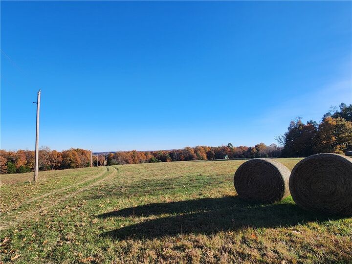 Property Photo:  Plumlee  AR 72624 