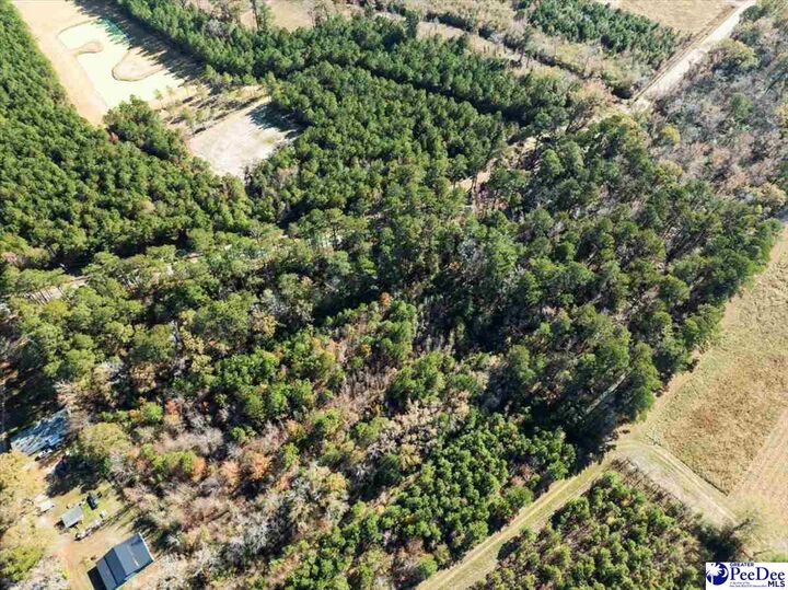 Property Photo:  Tbd Heatherwood Road  SC 29571 