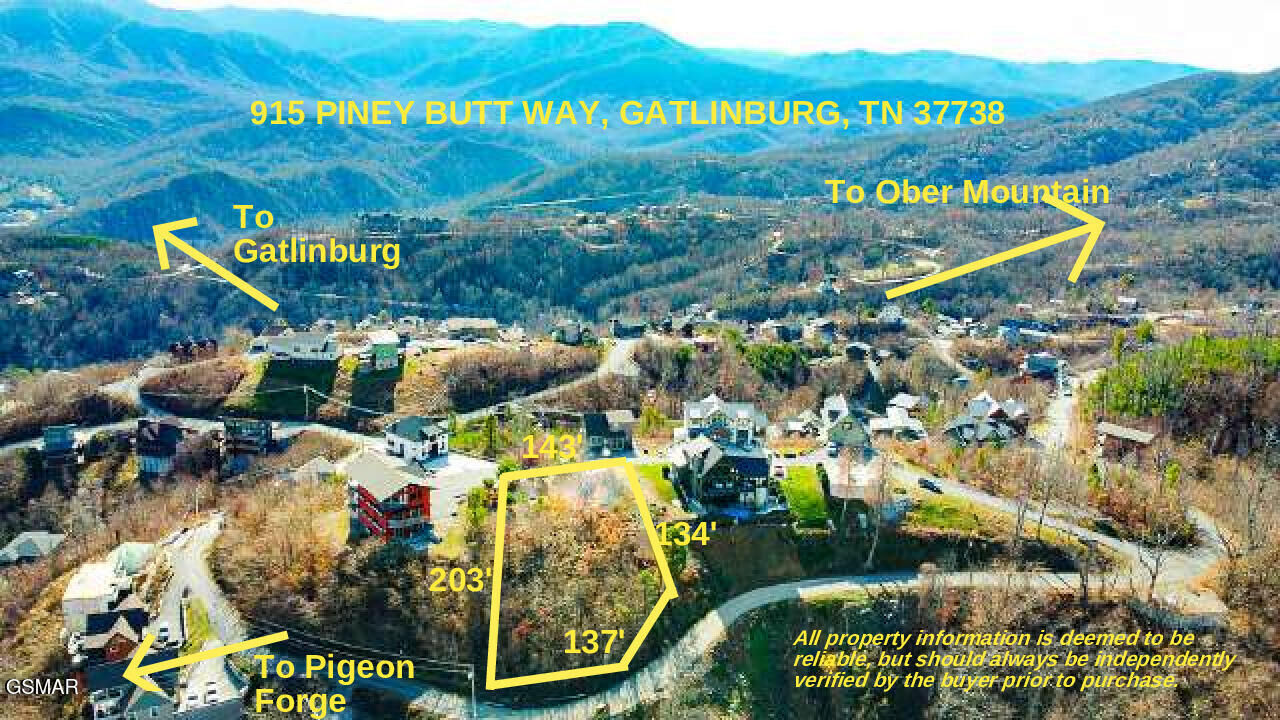 Property Photo:  915 Piney Butt Way  TN 37738 