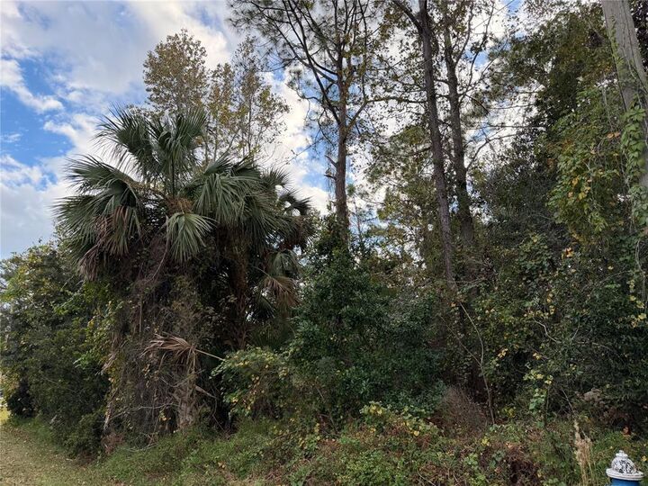 Property Photo:  22 Westglen Lane  FL 32164 