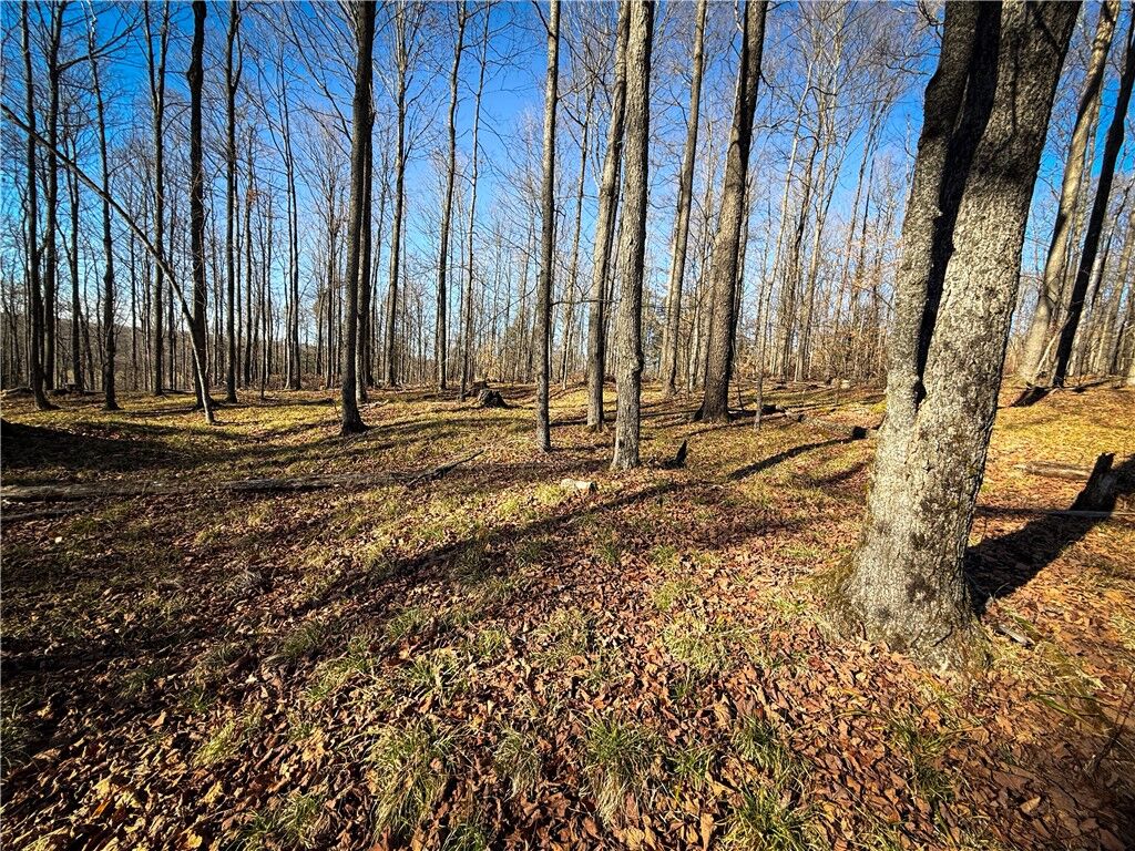 Property Photo: Lot-01 Langford Creek Road NY 14889