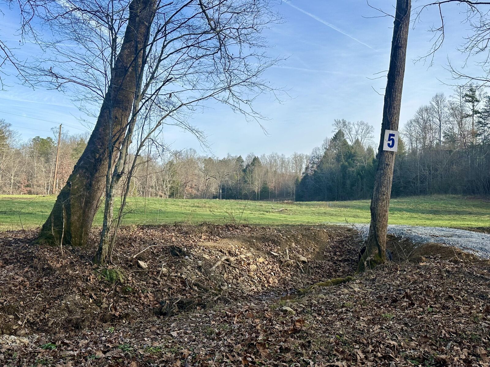 Property Photo:  Lot 5 Radford Road  KY 40729 