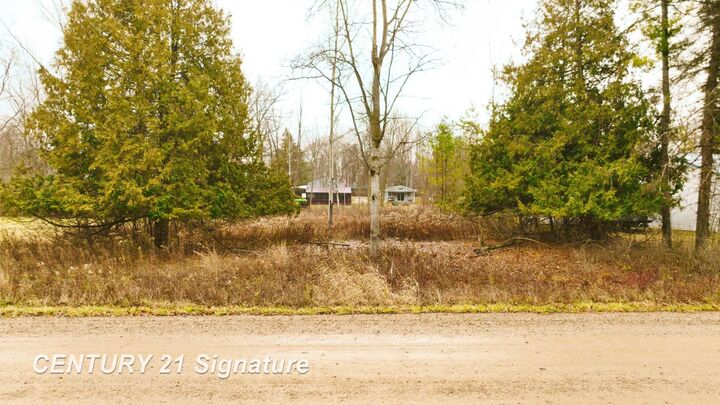 Property Photo: 8097 Lakeview Drive MI 48617