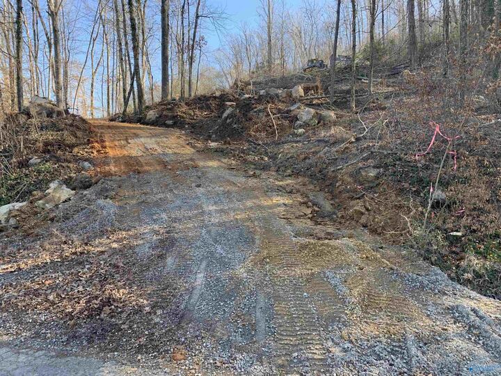 Property Photo:  Lot 22 Snug Harbor Road  AL 35747 