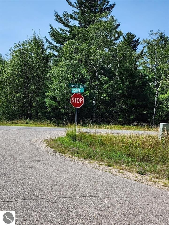 Property Photo:  Vl Snowridge Trail  MI 49730 