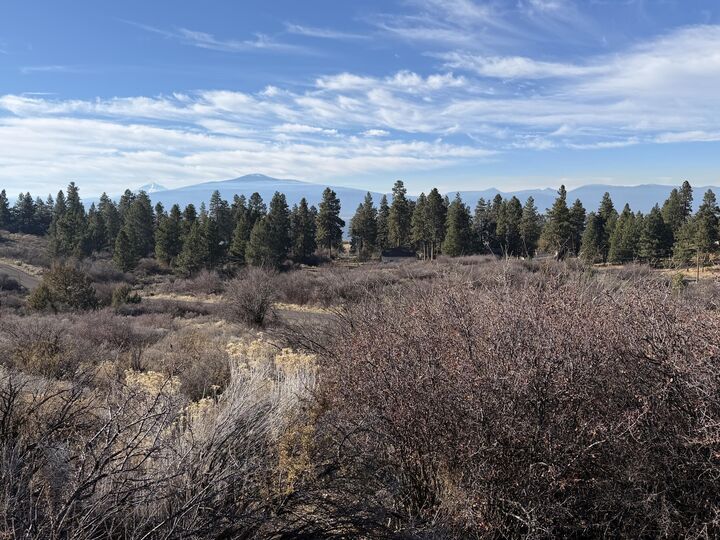 Property Photo:  0 Oregon Shores Drive 240741  OR 97624 