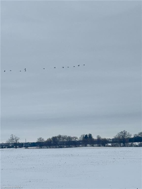 Property Photo: 135 Robinson Road ON N3T 5L7