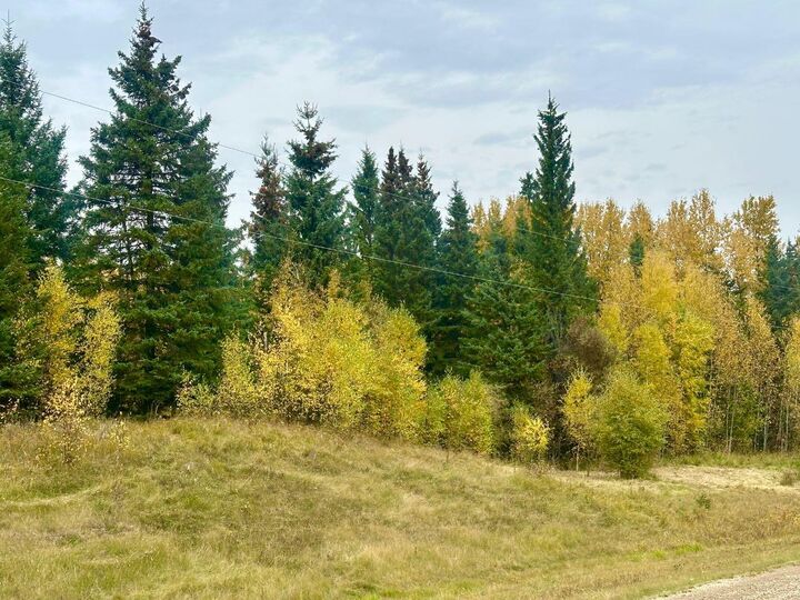 Property Photo: Lot 1 Mountain Springs AB T7S 1N9