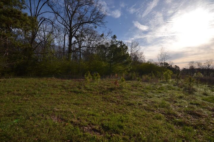 Property Photo: 0 Co Rd 1653 AL 35058 - CULLMAN