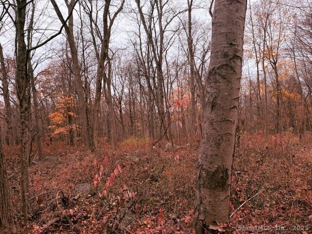 72D Walnut Street  Seymour CT 06483 photo