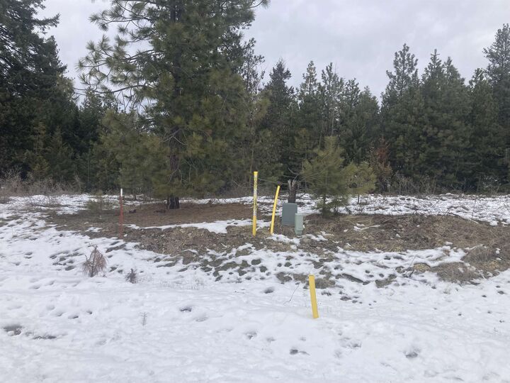 Property Photo: 39941 Loon Lake Ct WA 99148