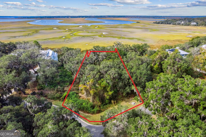 Property Photo: 0 Becket Road GA 31558