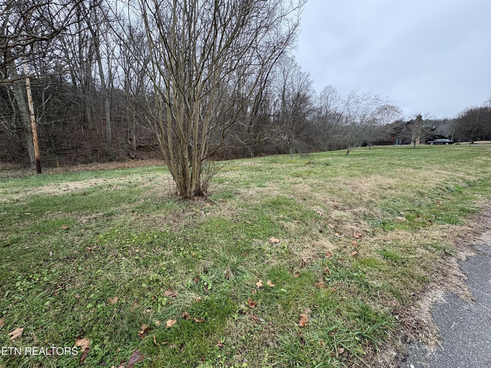 Property Photo:  0 Old Buck Creek Rd  TN 37763 
