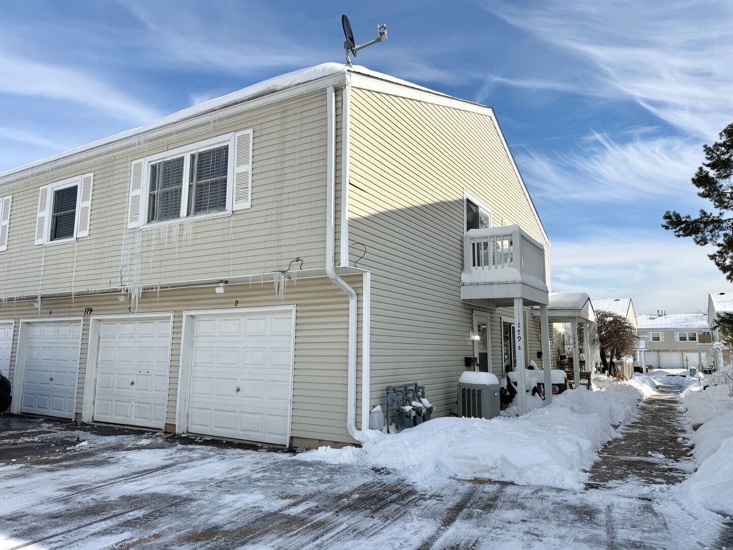 Property Photo:  179 Rita Court D  IL 60103 