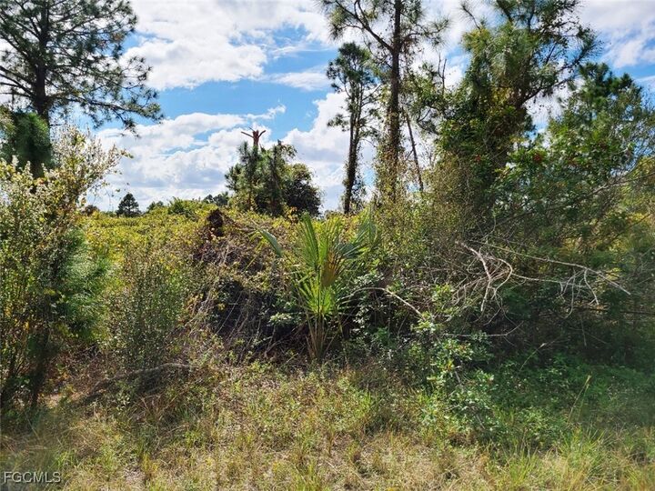 Property Photo:  916 Ashley Oaks Drive  FL 33974 