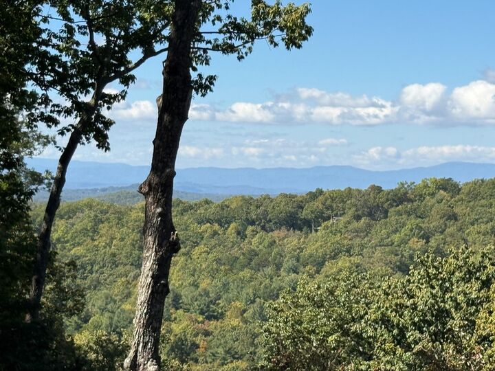 Property Photo:  97 Deer Ridge  GA 30560 