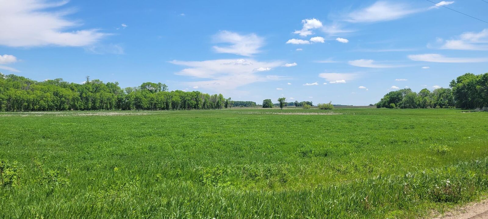 Property Photo:  Xxx 455th Avenue  MN 55307 