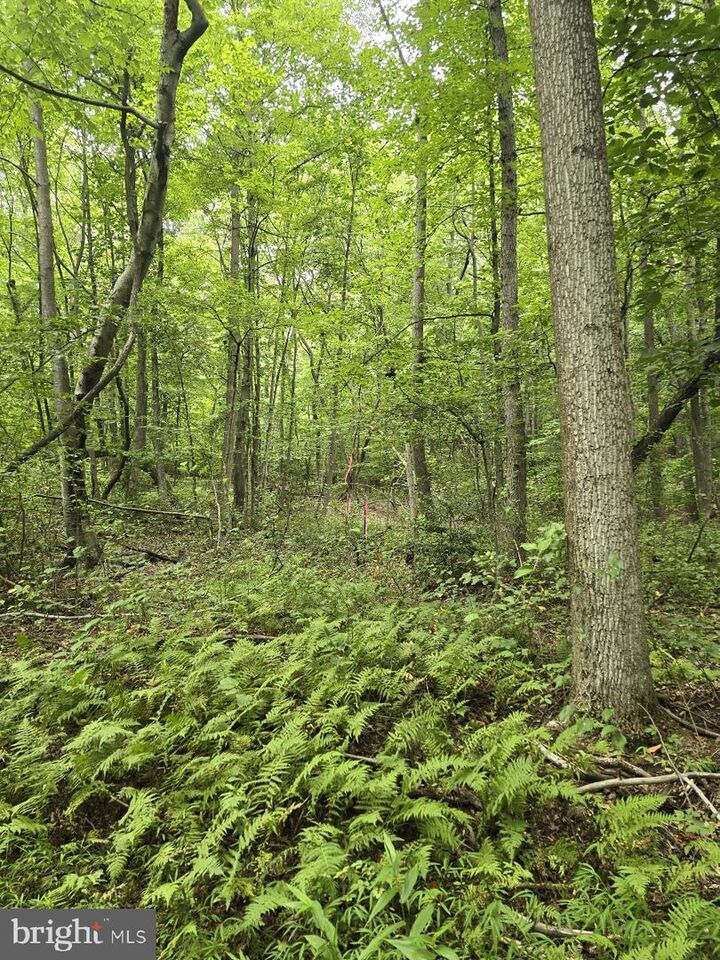 Property Photo:  0 S Mountain Road  PA 17019 